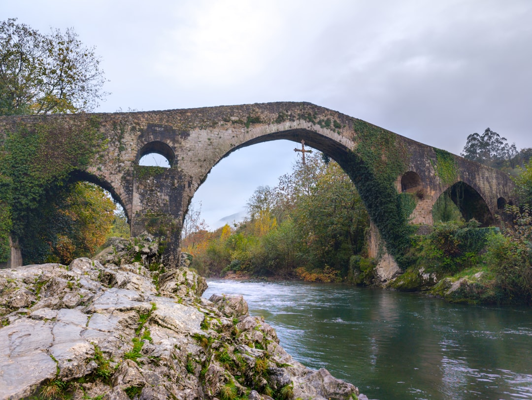 A stone bridge over a river surrounded by trees