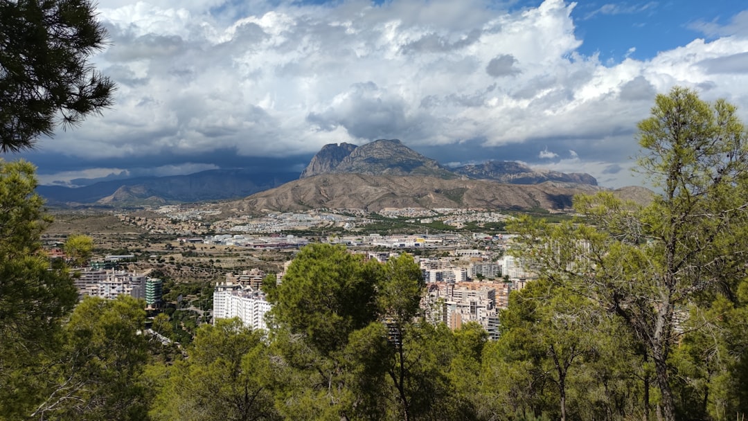 a city with trees and mountains in the background