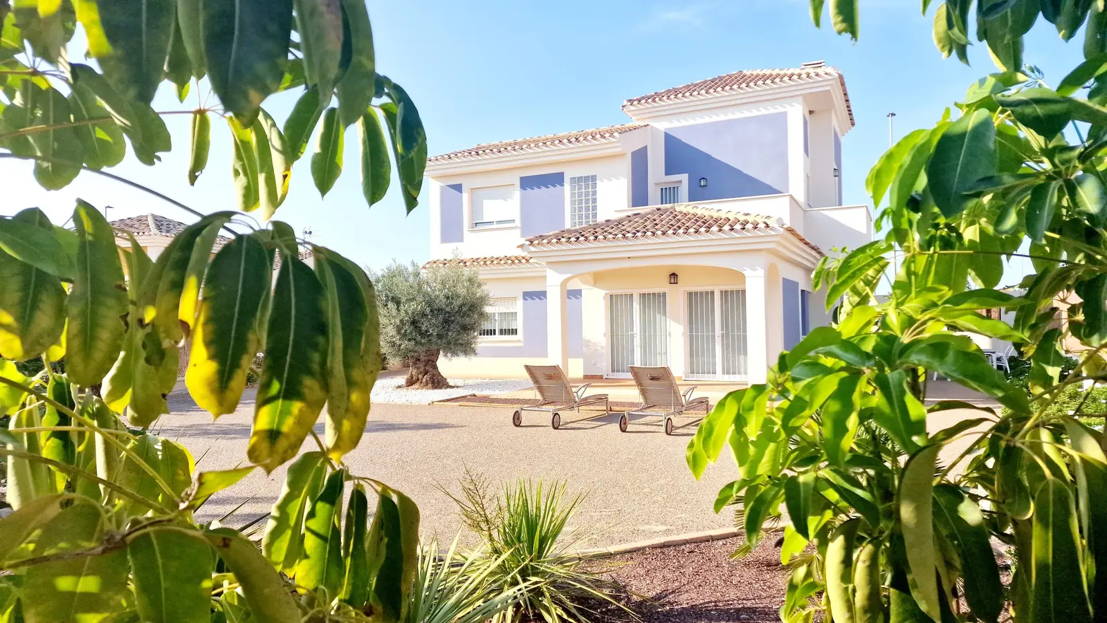 Purias Villa 3873 — photo 12