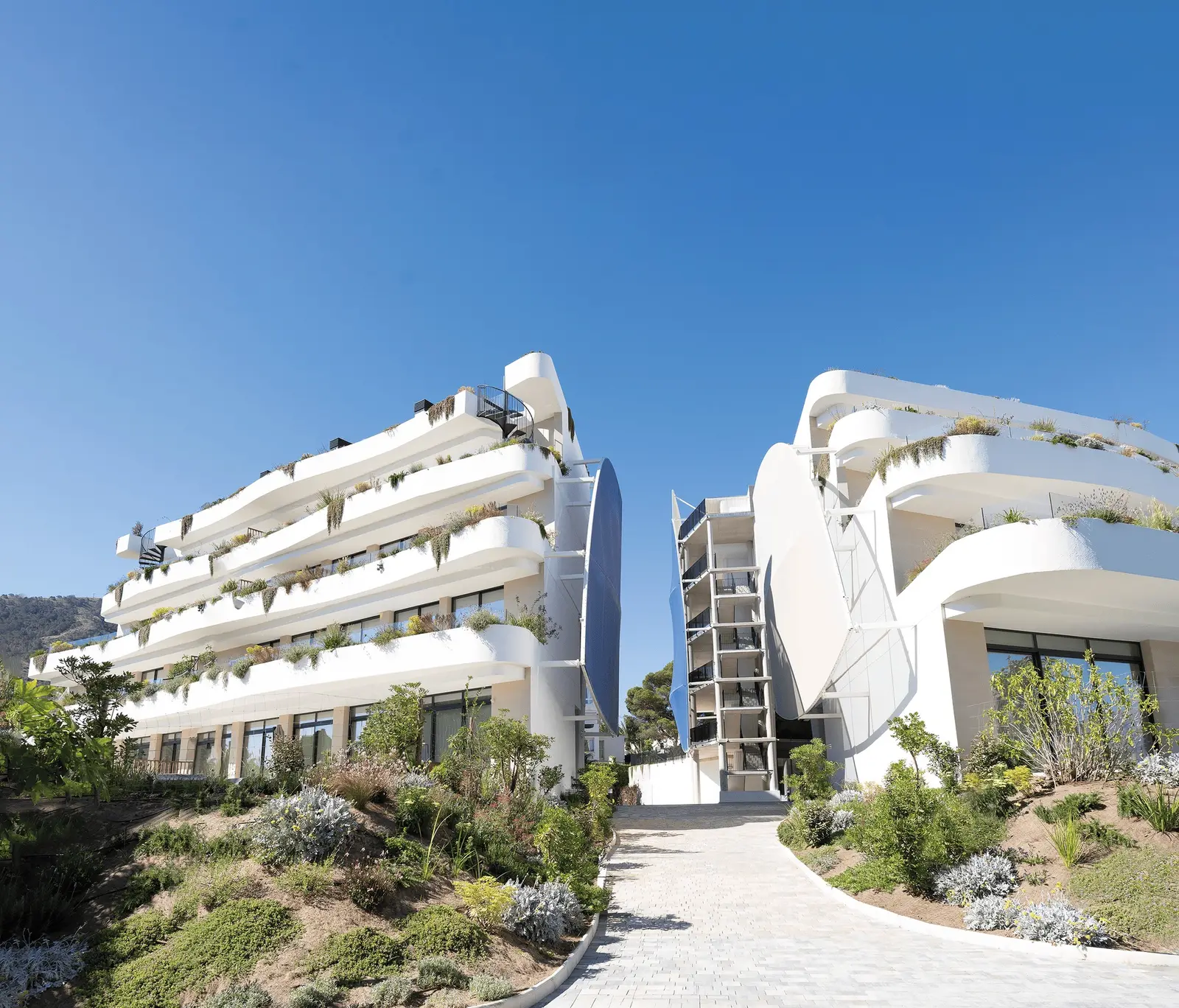 Serra Gelada Bay — photo 18