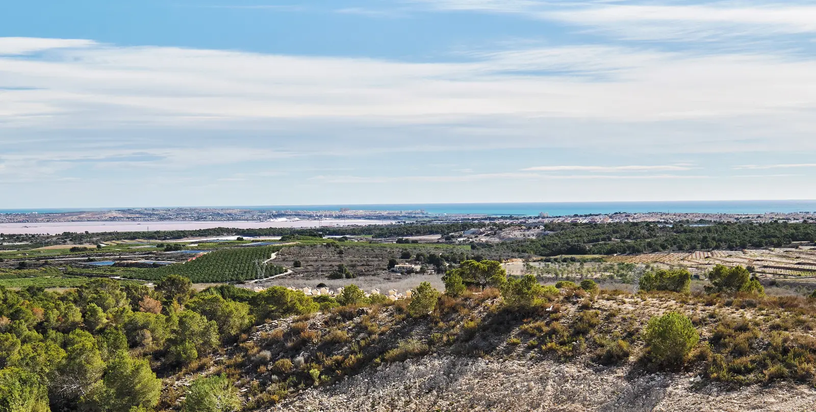 San Miguel de Salinas Villa 4605 — photo 13